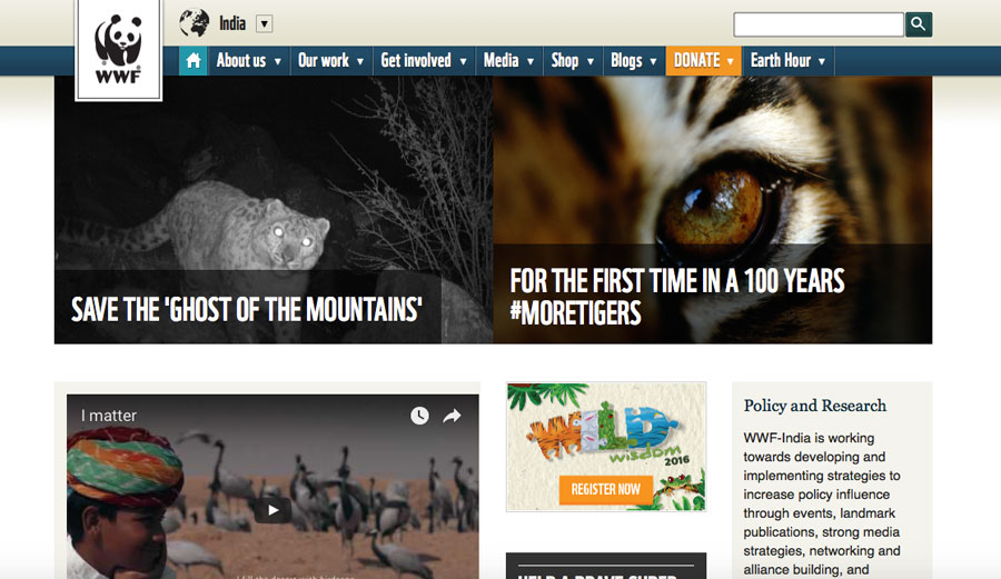 Localised-Websites---WWF-India